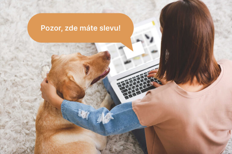 hlidac-slev-cz-accent-web